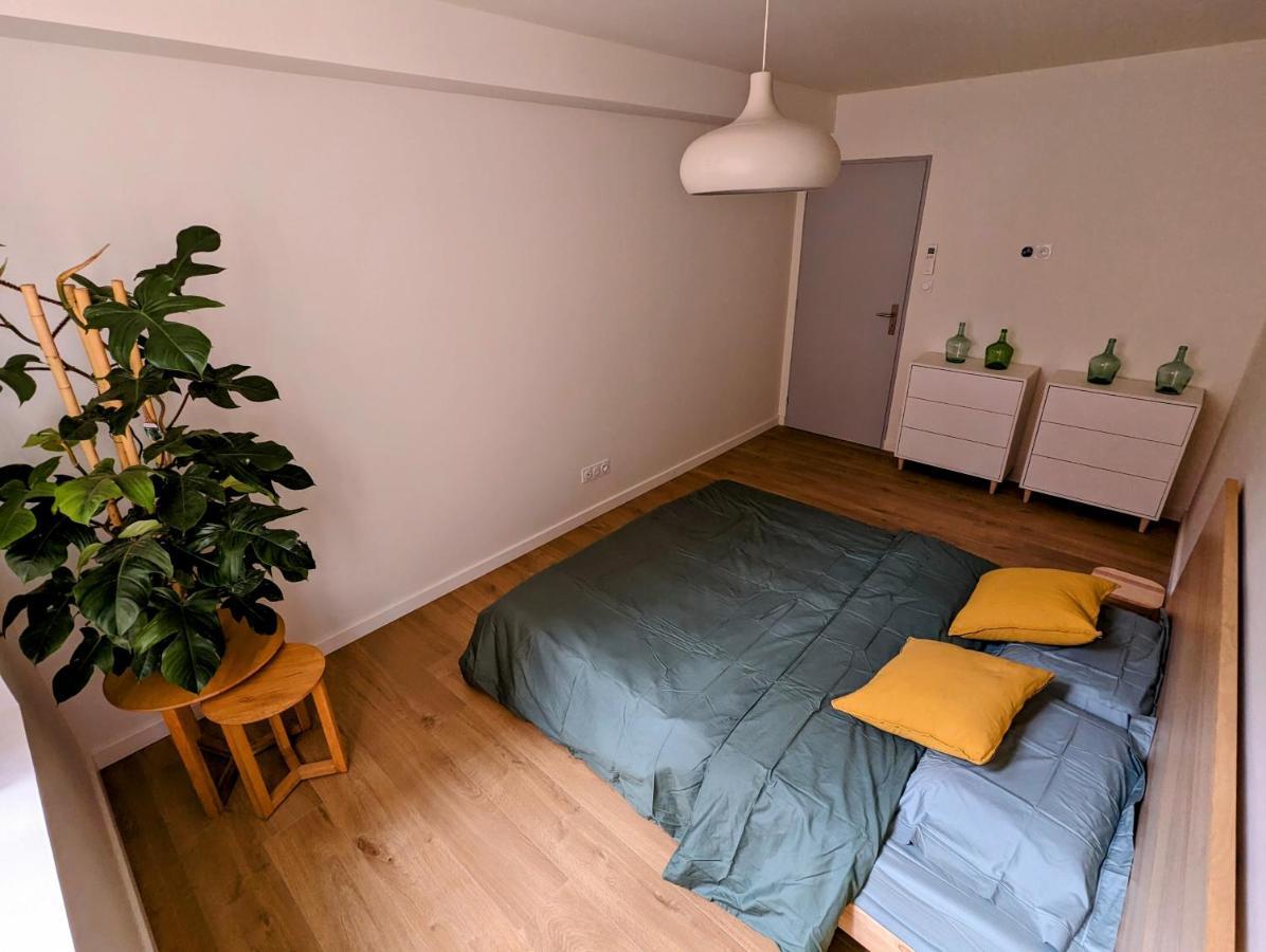 Douceur, Elegance Au Coeur D'Albi Apartman Kültér fotó