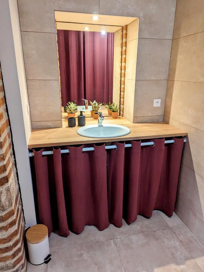 Douceur, Elegance Au Coeur D'Albi Apartman Kültér fotó